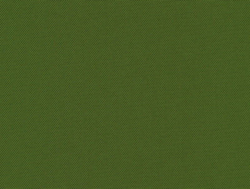Fir